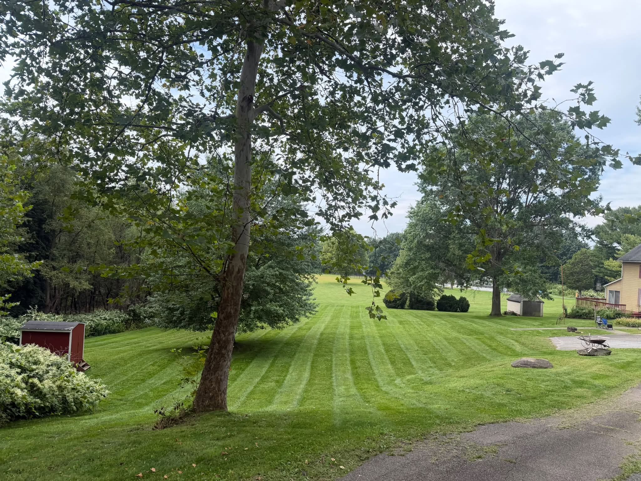 Clean mowing stripes across a sloping lawn beneath a large tree